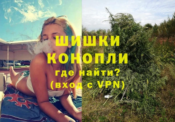 дмт Надым