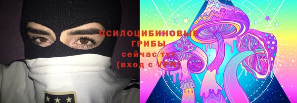 дмт Надым