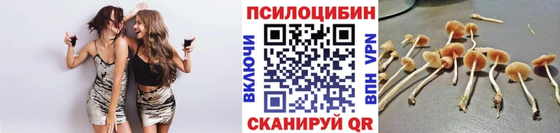 цена   Фёдоровский  Галлюциногенные грибы Magic Shrooms 
