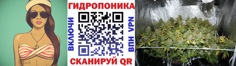Бошки Шишки сатива Фёдоровский